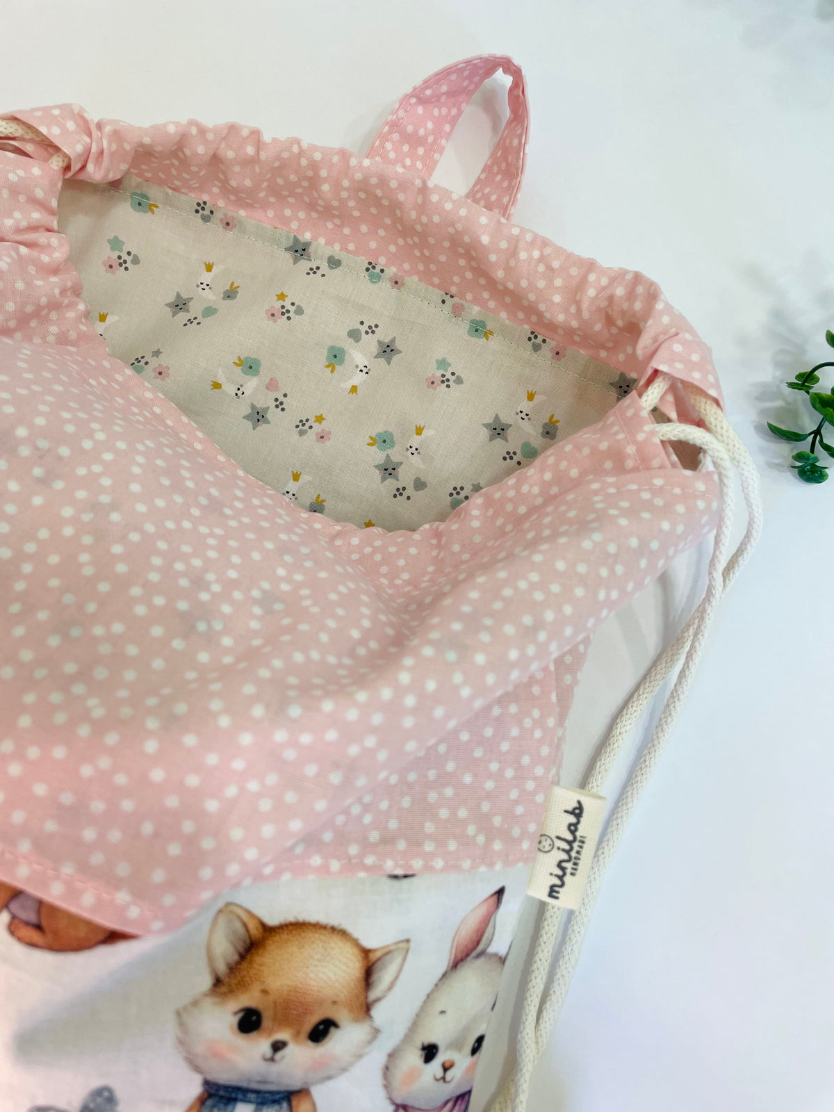 SET ASILO 🐰🐹 🌷🌸🎒